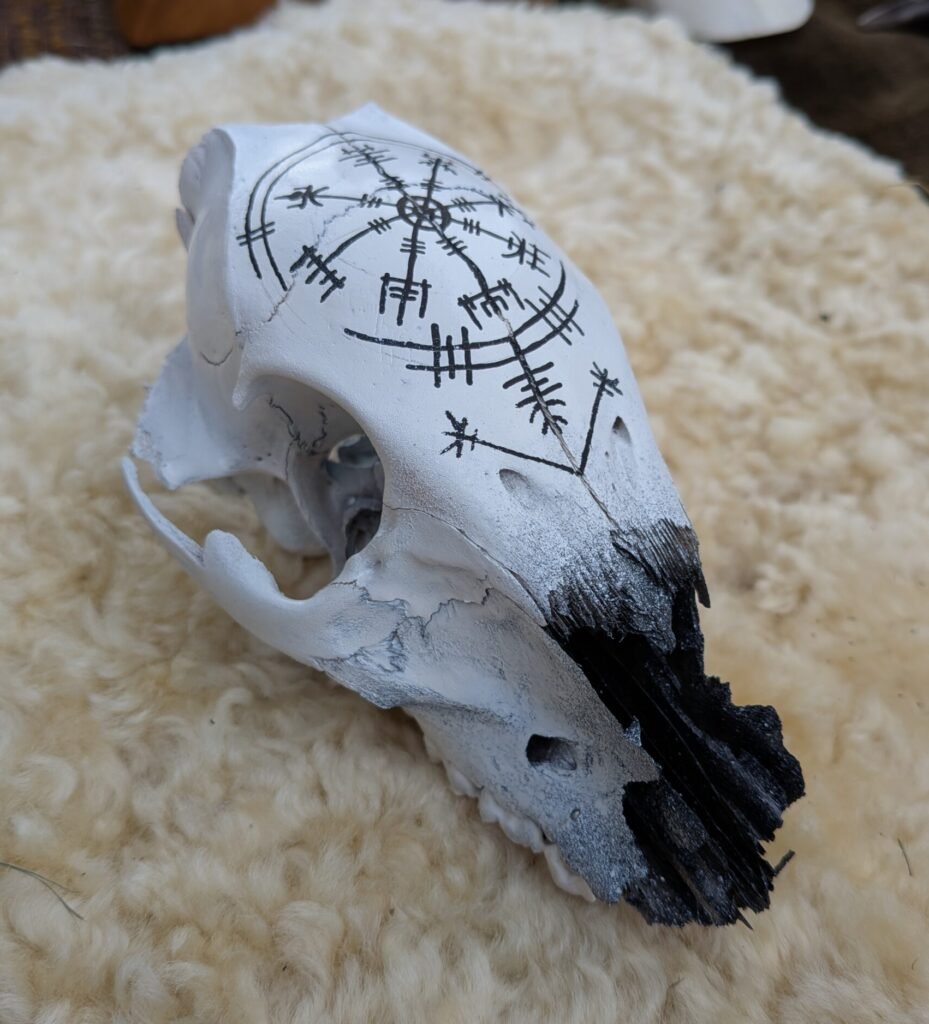 Pretty Dead, Viking Skulls, Decorated Skulls, Handpainted Skulls, Bone Craft, Runic Skulls