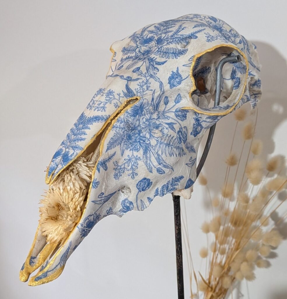 The China Cabinet, Pretty Dead, Bone China, Blue China Skull, Decoupage, Decoupaged bone, Gold Rimmed Skull