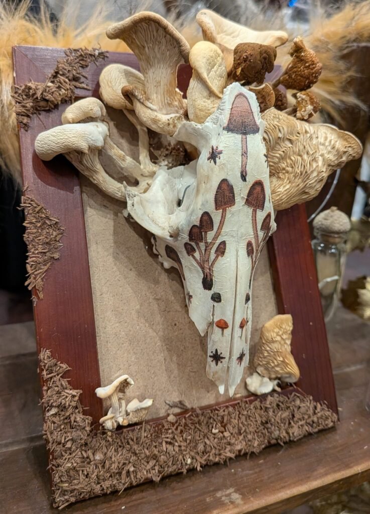 Pretty Dead, Mushroom Skull, Mushroom Art, Bone Art, Forest Art, Forest Mushroom Skulls, Forest Skulls, Earthen Art