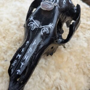 Mounted Skulls