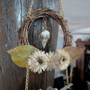 bird skull wall hanging, bird skull dreamcatcher, bird skulls, bone art, australian bone wall hanging, pretty dead wall hanging