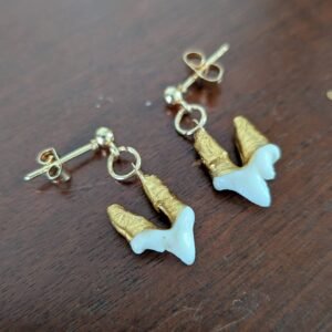 Gilded Tooth Earrings